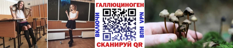Псилоцибиновые грибы Magic Shrooms  Копейск 